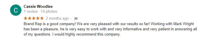 Google Review Painter
