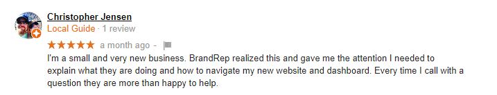 Google Review Painter