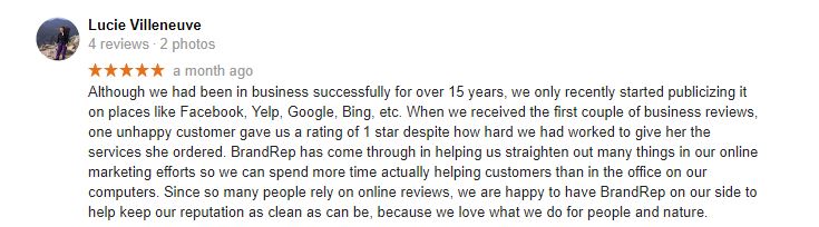 Google Review Painter