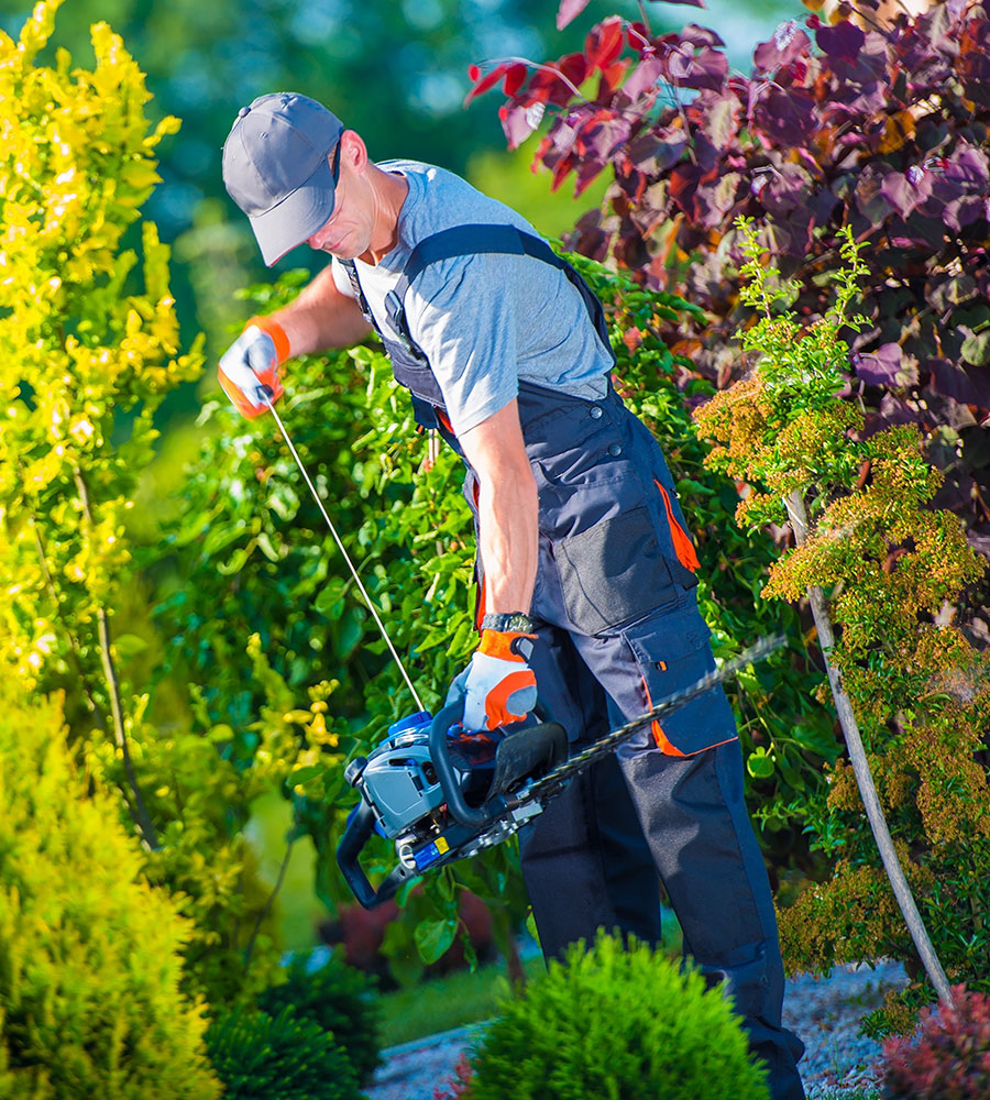 Industry Statistics Landscaper