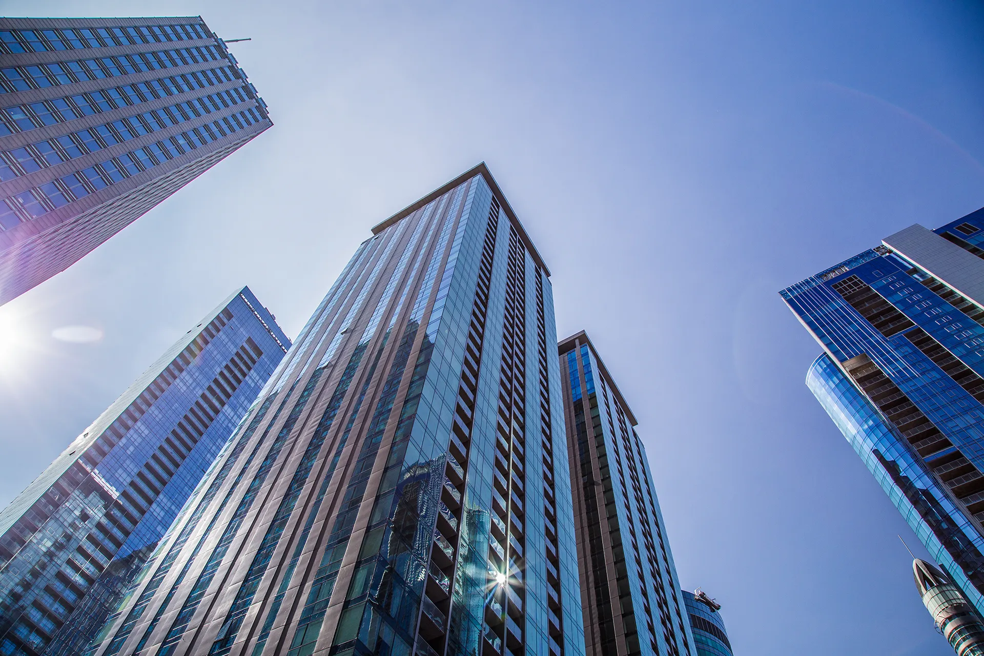 Brandrep Digital Marketing for Enterprise Organizations | BrandRep